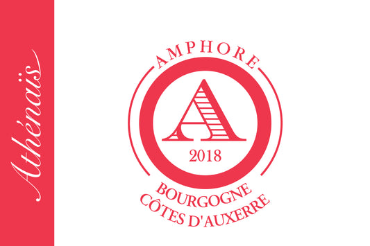 Athénaïs de Béru "Amphore" Cotes d'Auxerre 2018